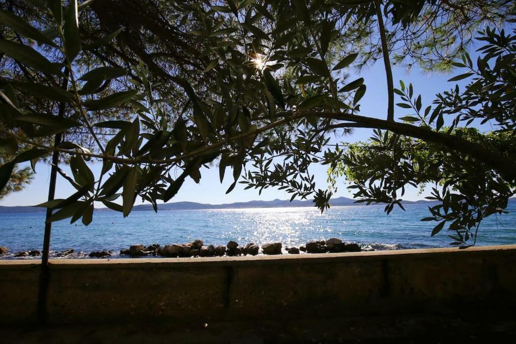 Seafront - Directly At The Zadar